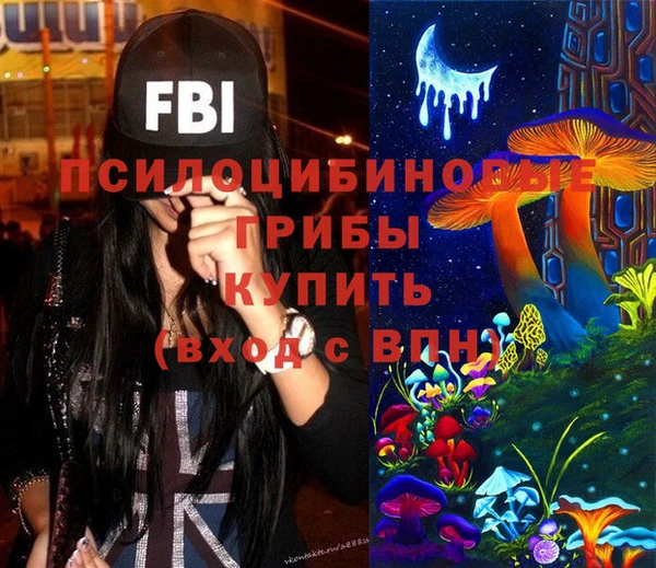 спиды Козловка